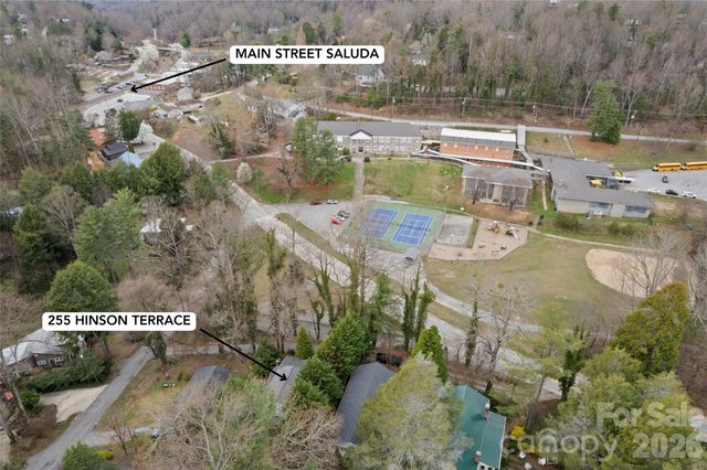 255 Hinson Terrace Drive, Saluda, NC 28773