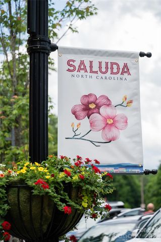 255 Hinson Terrace Drive, Saluda, NC 28773