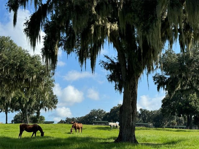 5540 SE 157TH STREET ROAD, Summerfield, FL 34491