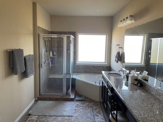 9111 Turnbull Lane, Rosenberg, TX 77469