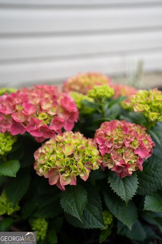 1941 Palm Place, Valdosta, GA 31602