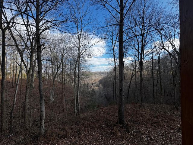 529 Cliffside Drive, Russell Springs, KY 42642