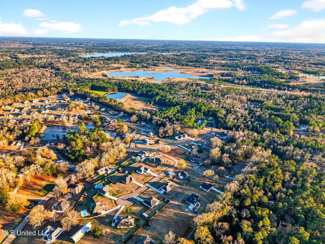 8 Shade Tree Drive, Carriere, MS 39426