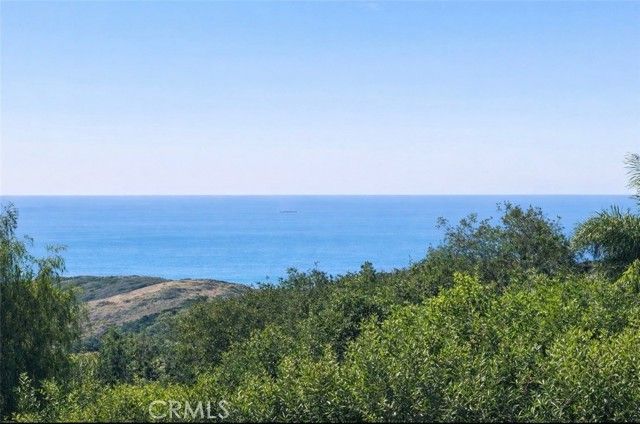 14 Coastal Oak, Newport Coast, CA 92657