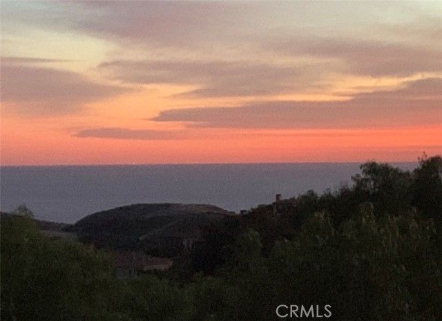 14 Coastal Oak, Newport Coast, CA 92657