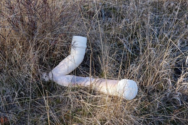 4608 N Whispering Pines Ln, Spokane, WA 99224