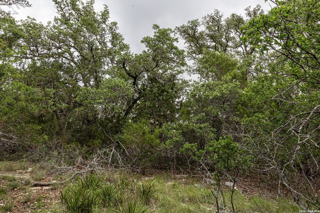 563 Abodar Trl, Spring Branch, TX 78070