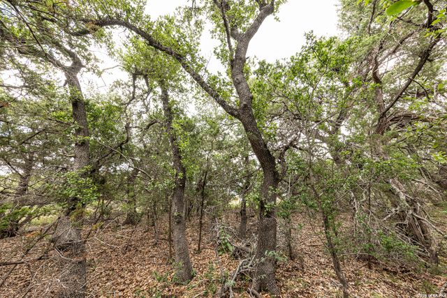 563 Abodar Trl, Spring Branch, TX 78070