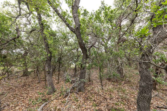 563 Abodar Trl, Spring Branch, TX 78070