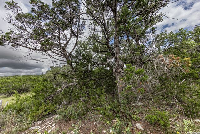 563 Abodar Trl, Spring Branch, TX 78070
