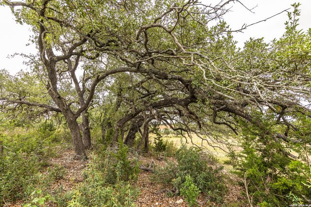 563 Abodar Trl, Spring Branch, TX 78070