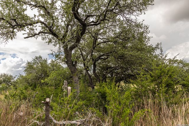 563 Abodar Trl, Spring Branch, TX 78070