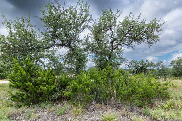 563 Abodar Trl, Spring Branch, TX 78070
