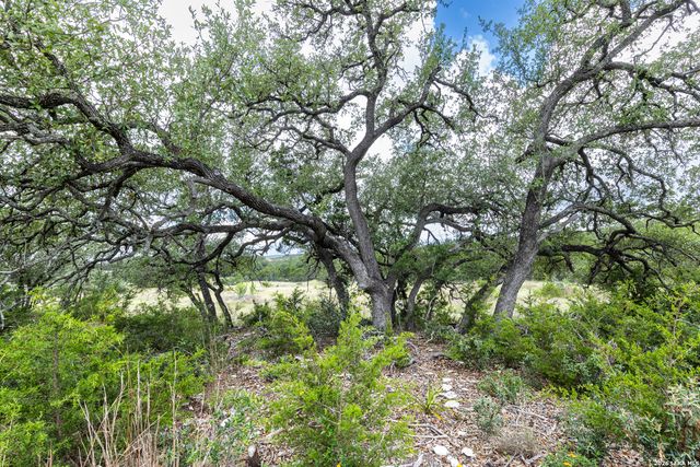 563 Abodar Trl, Spring Branch, TX 78070