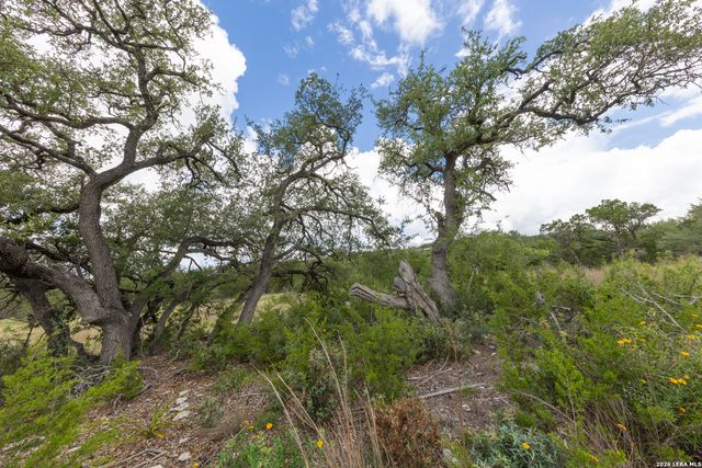 563 Abodar Trl, Spring Branch, TX 78070