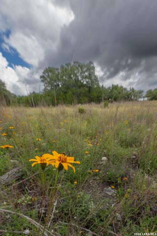 563 Abodar Trl, Spring Branch, TX 78070