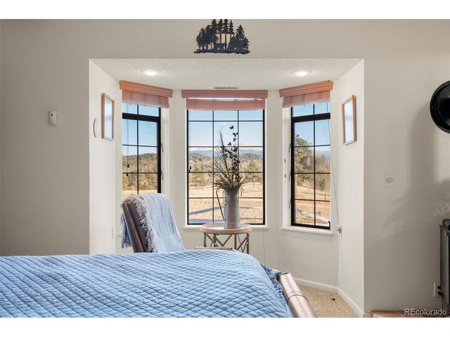 537 Chapparal Trl, Florissant, CO 80816