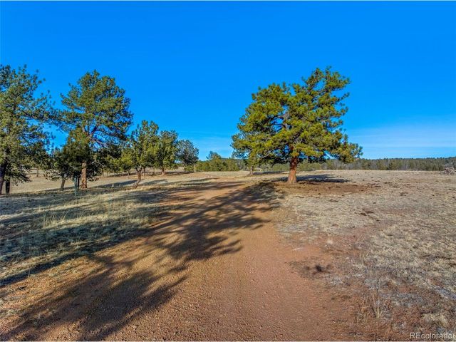 537 Chapparal Trl, Florissant, CO 80816