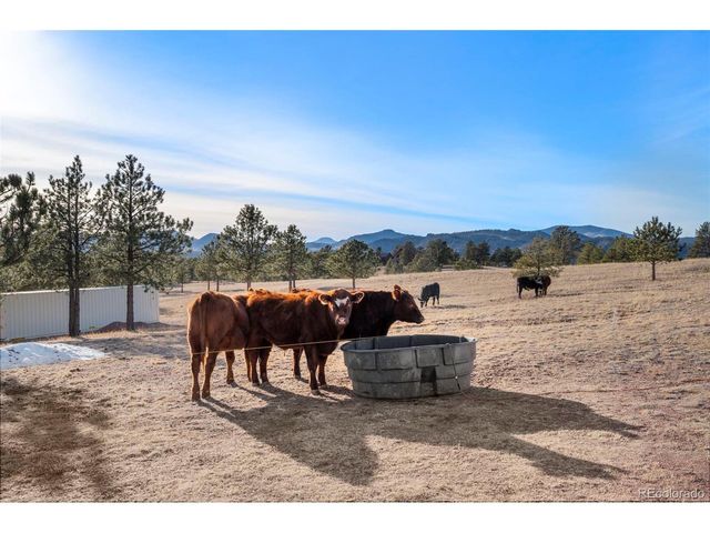 537 Chapparal Trl, Florissant, CO 80816