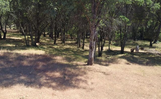 7501 Redhill Way, Browns Valley, CA 95918