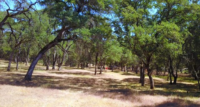 7501 Redhill Way, Browns Valley, CA 95918