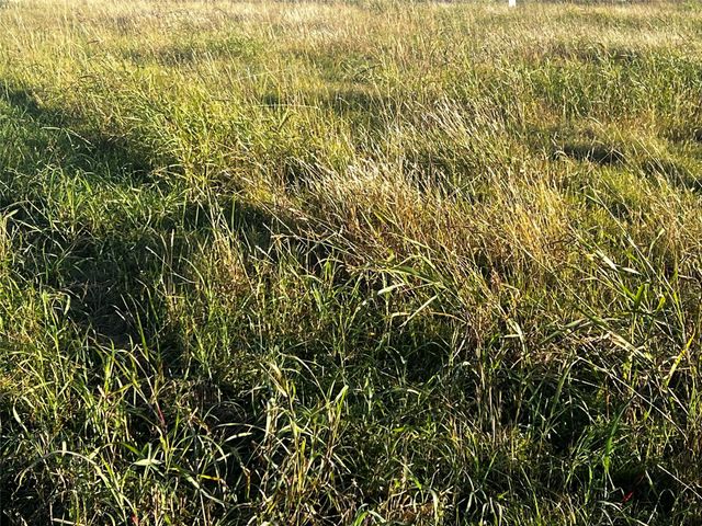 34330 Fm 521, Angleton, TX 77515