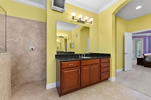 10511 MISTFLOWER LANE, Tampa, FL 33647
