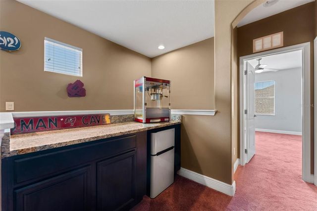 10511 MISTFLOWER LANE, Tampa, FL 33647