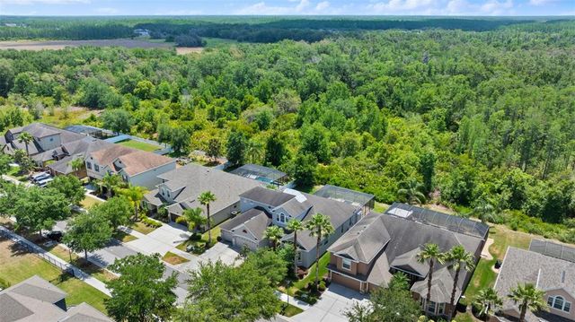 10511 MISTFLOWER LANE, Tampa, FL 33647