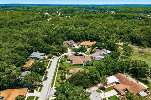 3480 TANGLEWOOD TRAIL, Palm Harbor, FL 34685