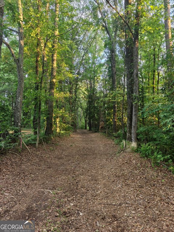 0 Quick Drive, Senoia, GA 30276