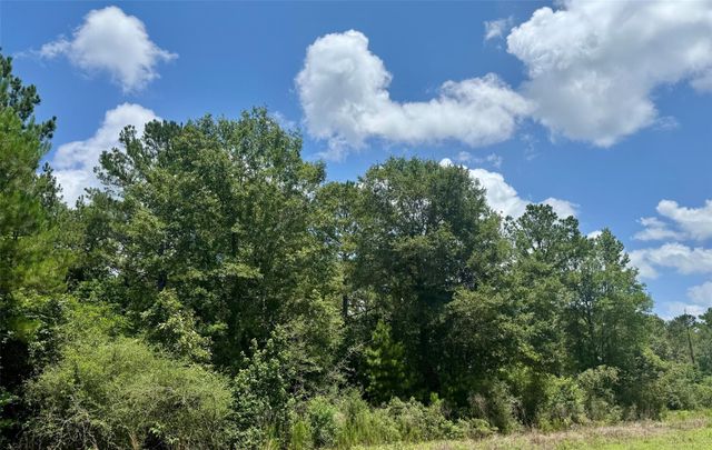 Lot 15 Riverstone Drive, Livingston, TX 77351