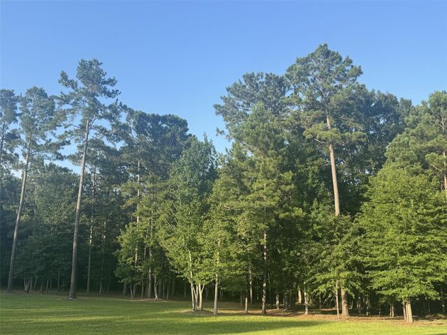 Lot 15 Riverstone Drive, Livingston, TX 77351