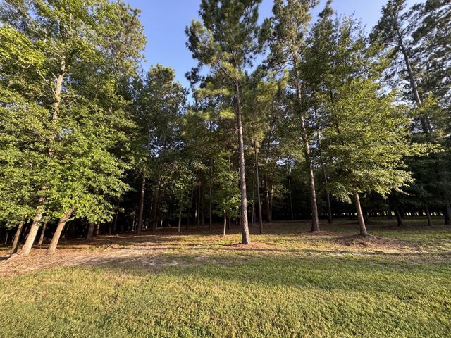 Lot 15 Riverstone Drive, Livingston, TX 77351
