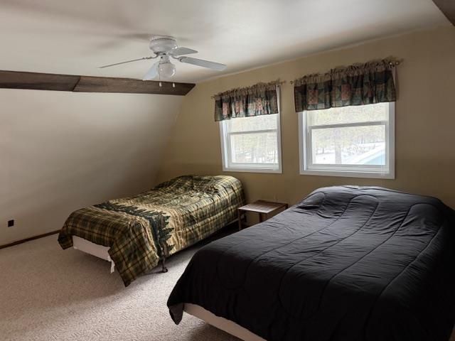 W10410 PARK LANE, Athelstane, WI 54104