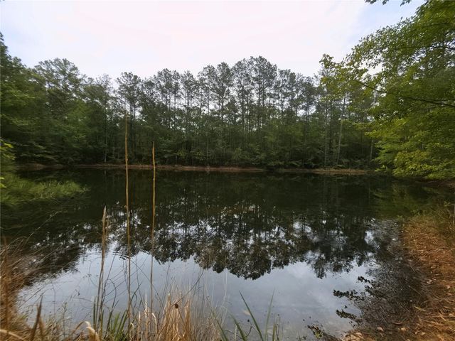 0 Hortman Lane, Saratoga, TX 77585