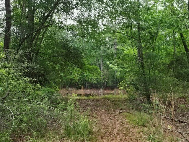 0 Hortman Lane, Saratoga, TX 77585