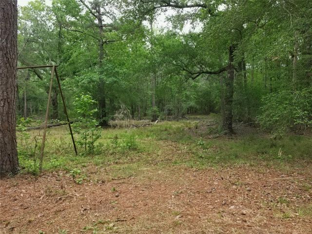 0 Hortman Lane, Saratoga, TX 77585