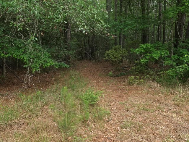 0 Hortman Lane, Saratoga, TX 77585