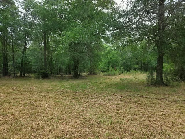 0 Hortman Lane, Saratoga, TX 77585