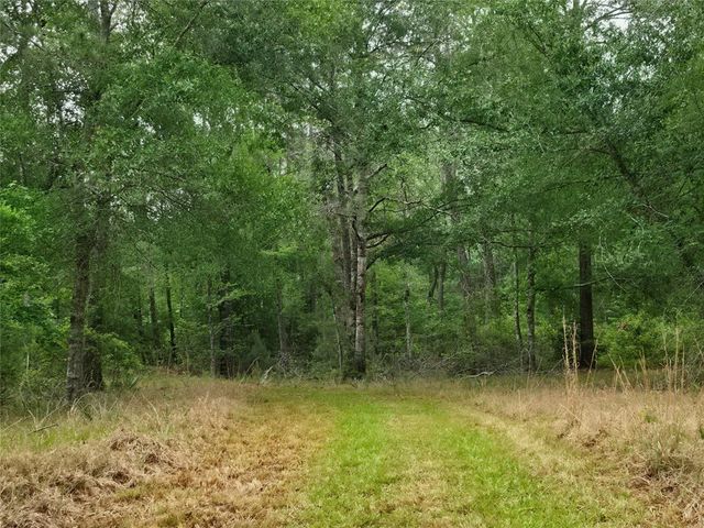 0 Hortman Lane, Saratoga, TX 77585