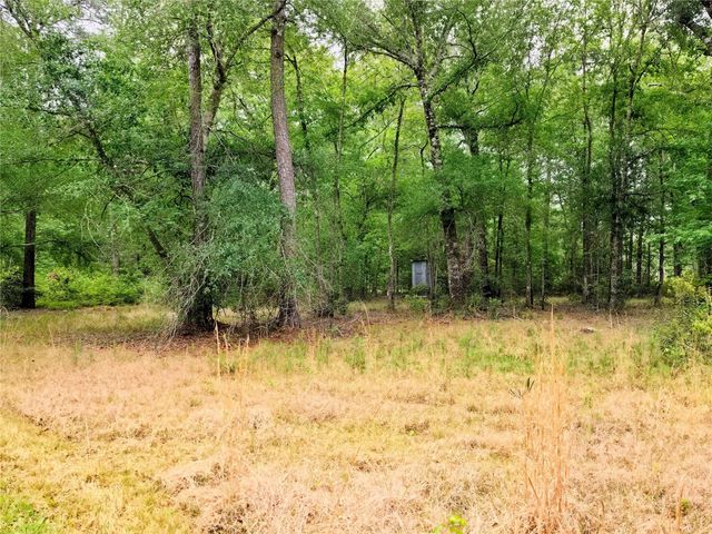 0 Hortman Lane, Saratoga, TX 77585