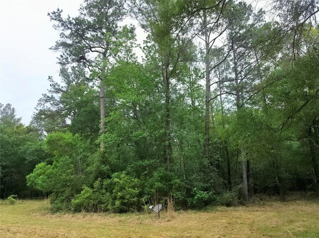 0 Hortman Lane, Saratoga, TX 77585
