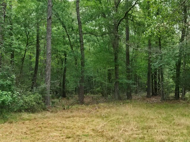 0 Hortman Lane, Saratoga, TX 77585