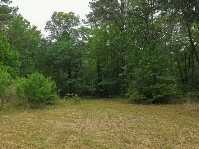 0 Hortman Lane, Saratoga, TX 77585