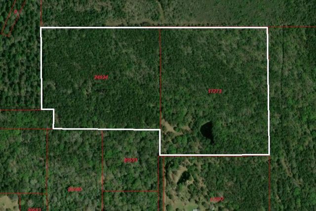 0 Hortman Lane, Saratoga, TX 77585