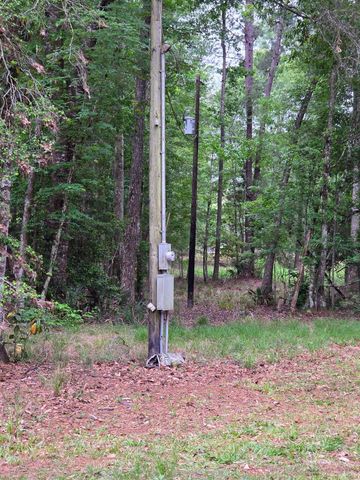 0 Hortman Lane, Saratoga, TX 77585