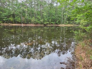0 Hortman Lane, Saratoga, TX 77585