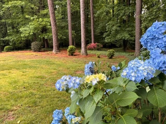 1626 Wildwood Road, Marietta, GA 30062