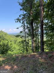 1588 Paladin Drive, Ranger, GA 30734